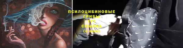 MDMA Заводоуковск