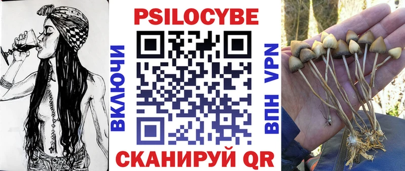 Галлюциногенные грибы Psilocybine cubensis  Чудово 