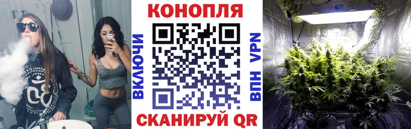как найти закладки  Чудово  МАРИХУАНА ГИДРОПОН 